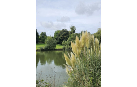 🏌Dernier Championnat à Bellefontaine